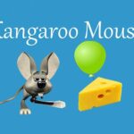 Kangaroo Mouse